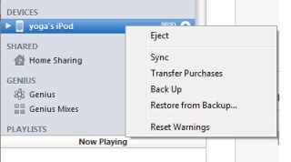 Backup via iTunes